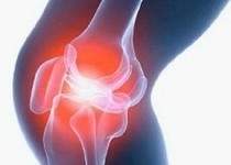 Чем болеют коленные суставы?