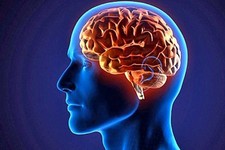 Невроз - реакция на стресс или симптом мозговой болезни?