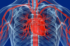 Профилактика сердечно-сосудистой системы с помощью МРТ сердца